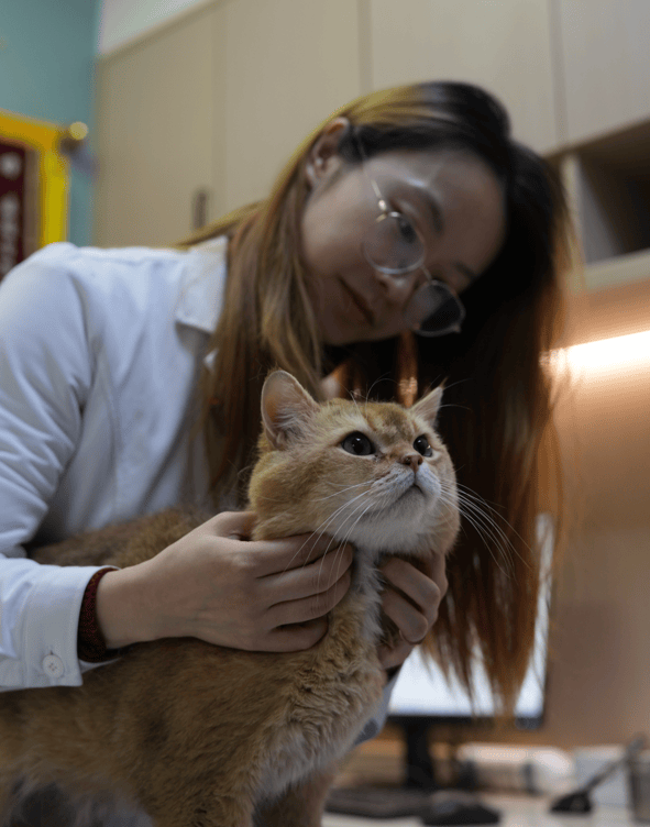 000亿市场激战伊利、小米都在抢“毛孩子”pg电子模拟器中国宠物经济30年狂飙史：3(图3)