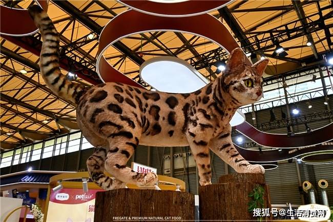 物展如期举行弗列加特携新品精彩亮相pg电子模拟器试玩第27届亚洲宠(图4)