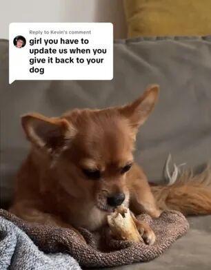 ！毛孩子偷偷塞了件东西全网都被暖哭了…pg电子娱乐平台出差打开行李箱直接泪崩(图4)