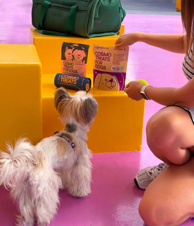 pet宠物零食以昆虫蛋白开辟全新赛道pg电子首页中俄联合品牌cosmo