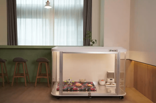 大市场！浙江“它经济”如何宠爱升级？pg模拟器试玩“毛孩子”