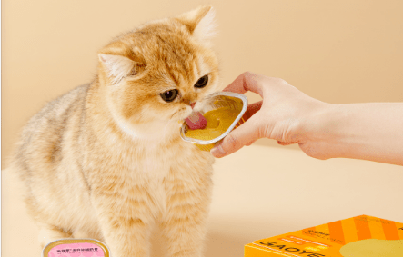 大市场！浙江“它经济”如何宠爱升级？pg模拟器试玩“毛孩子”赛道“养”出(图3)