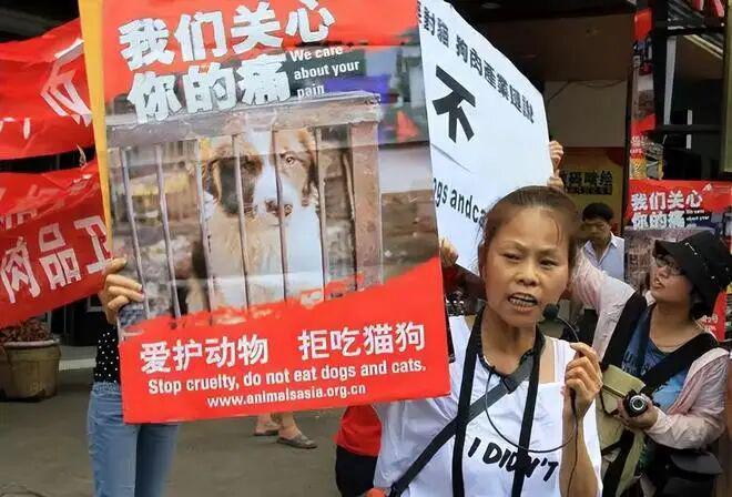 者呼吁立法禁食狗肉遭香港模式打脸pg试玩餐厅卖狗肉饭被批下架爱心(图4)